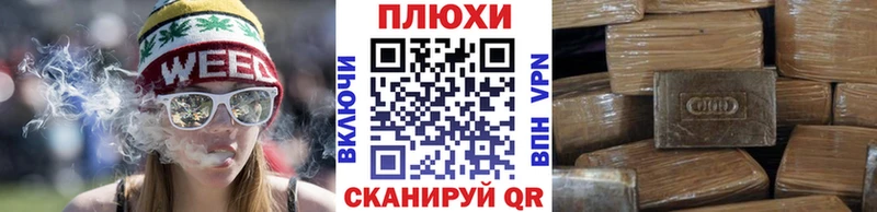ГАШ Ice-O-Lator  Сочи 