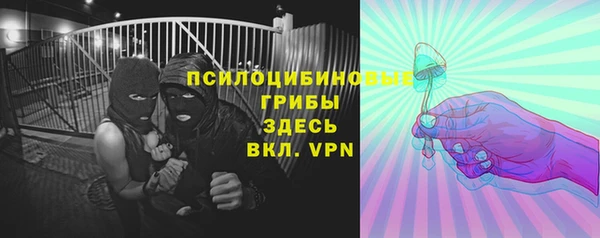 ALPHA PVP Майский