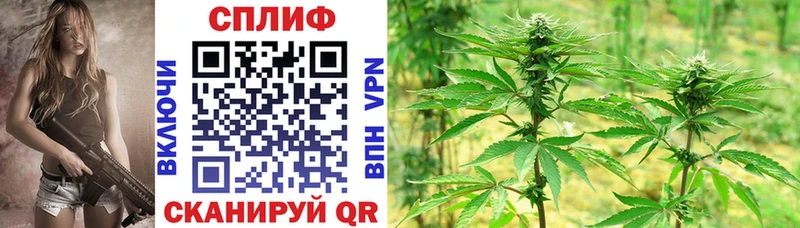 darknet официальный сайт Сочи Бошки Шишки индика